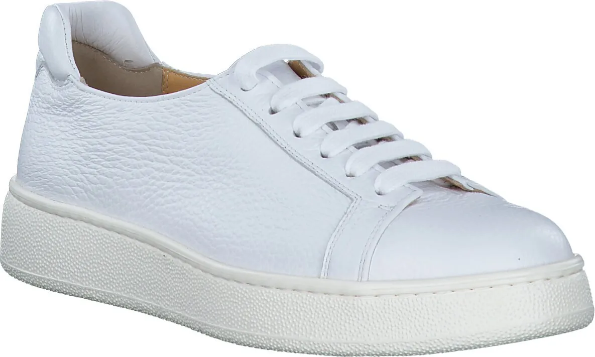 Damen-Schnürschuhe aus Leder 101701000081 (Weiß)