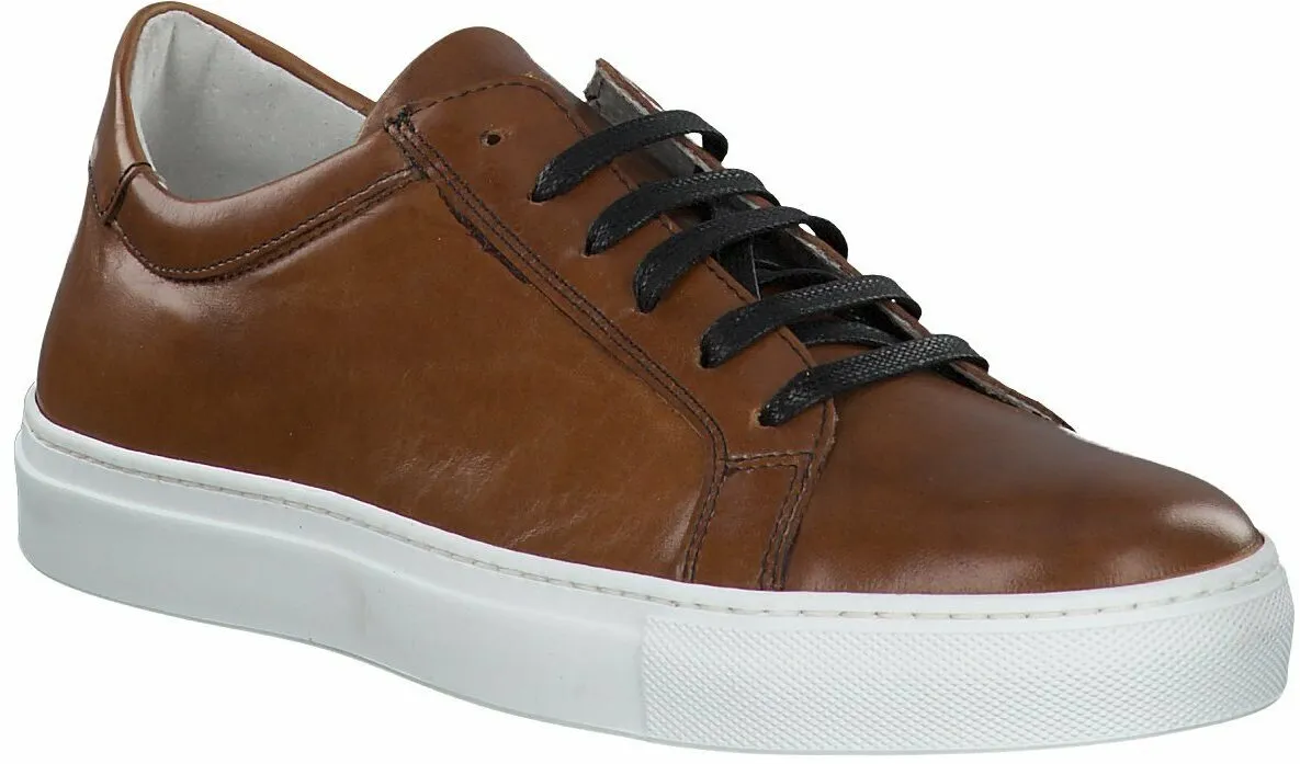 Herren-Schnürschuhe aus Leder 244221774728 (Braun)