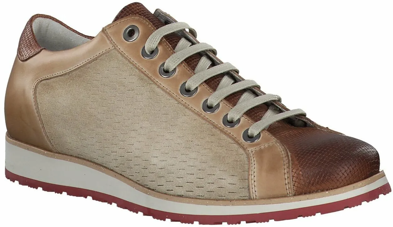 Herren-Schnürschuhe aus Leder 244301774741 (Beige)
