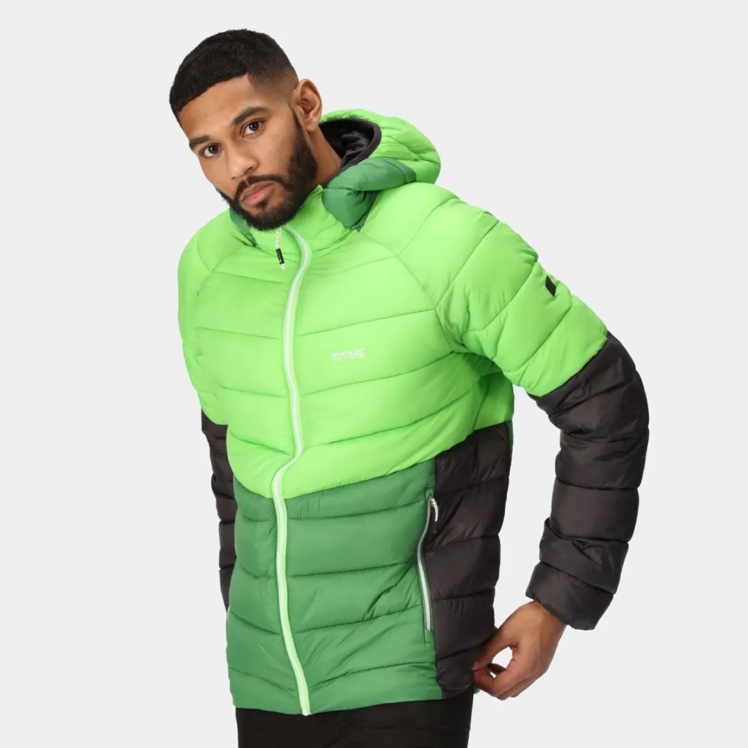 Herren Steppjacke Regatta HARROCK II grün
